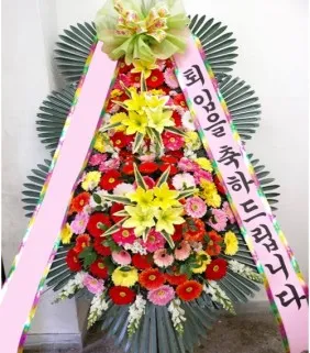 축하3단(특)